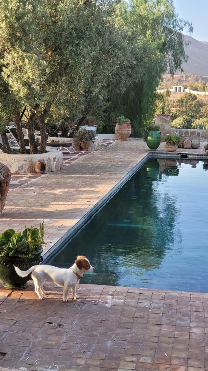 Sel D Ailleurs, Atlas Mountain Retreat - Adults Only 오리가네 외부 사진